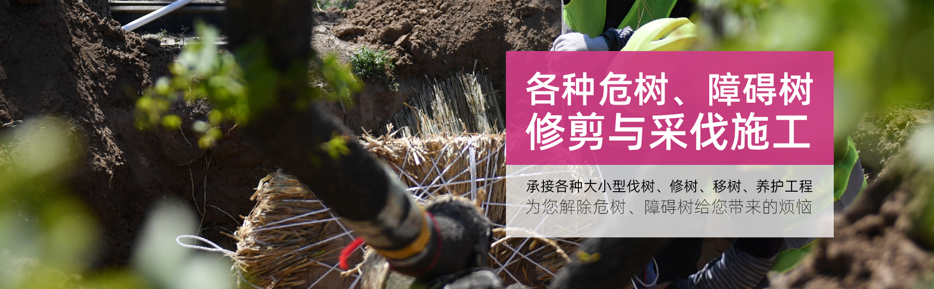 廣告標題